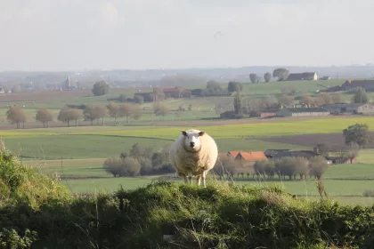 Bigger view of Omgeving