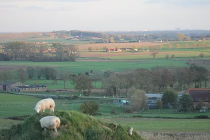 Bigger view of Omgeving