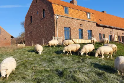 Bigger view of Omgeving