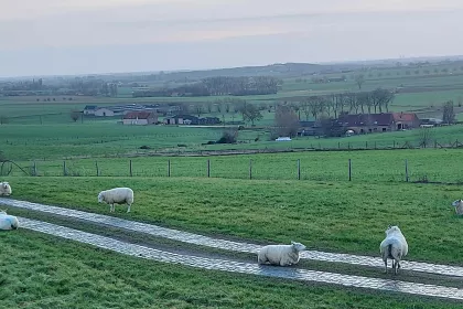 Bigger view of Omgeving